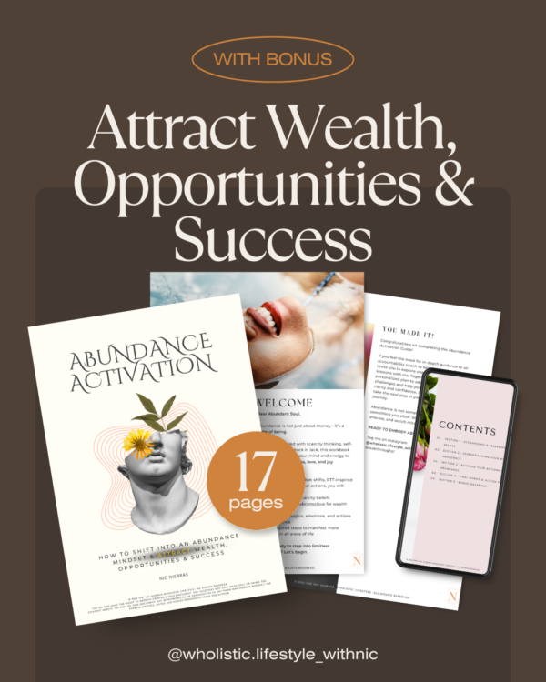 The Abundance Activation Guide - The Ultimate Wealth Mindset Shift